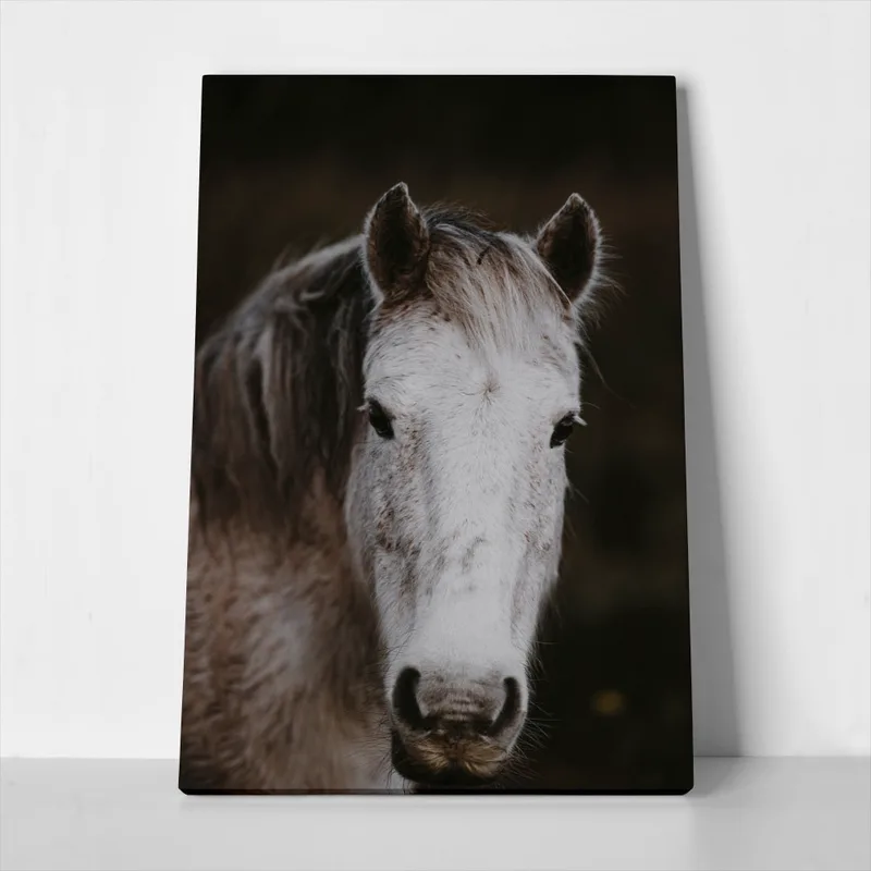 Πίνακας σε Καμβά RUSTIC FARMHOUSE HORSE 4
