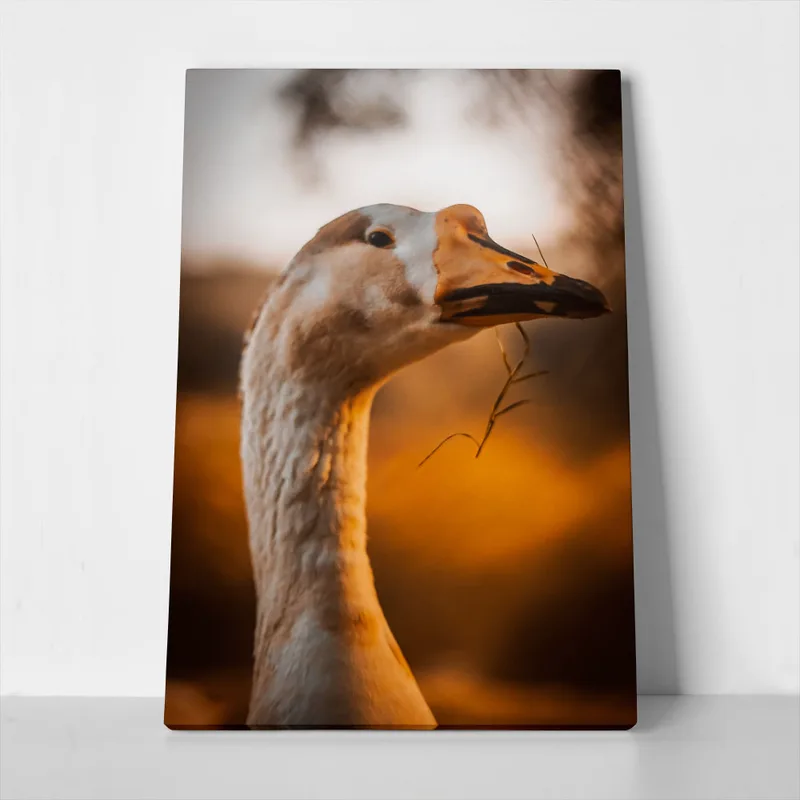 Πίνακας σε Καμβά RUSTIC FARMHOUSE GOOSE