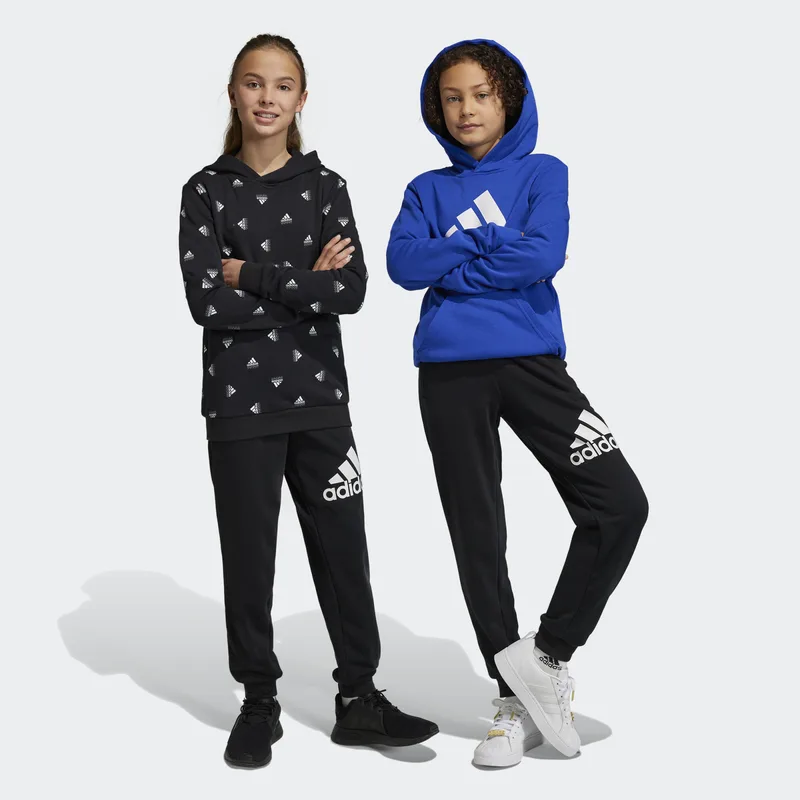 adidas Essentials Big Logo Παιδική Φόρμα (9000141767_22872)