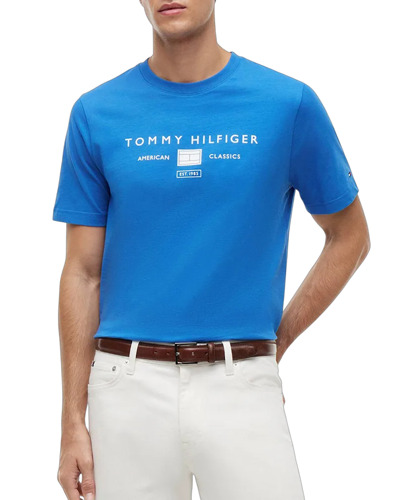 Ανδρικό T-shirt Μπλε Tommy Hilfiger MW0MW42365-C4U