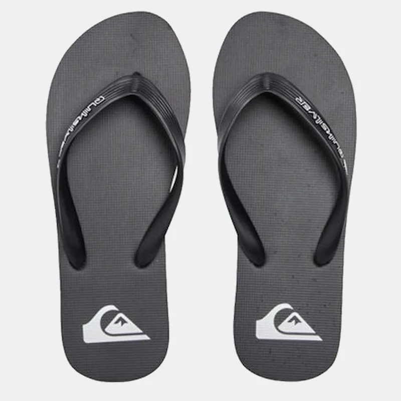 Quiksilver Molokai Core Ανδρικές Σαγιονάρες (9000179744_59970)