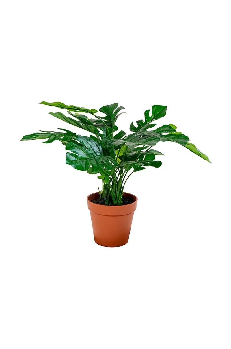 Τεχνητό φυτό σε γλάστρα House Nordic Monstera