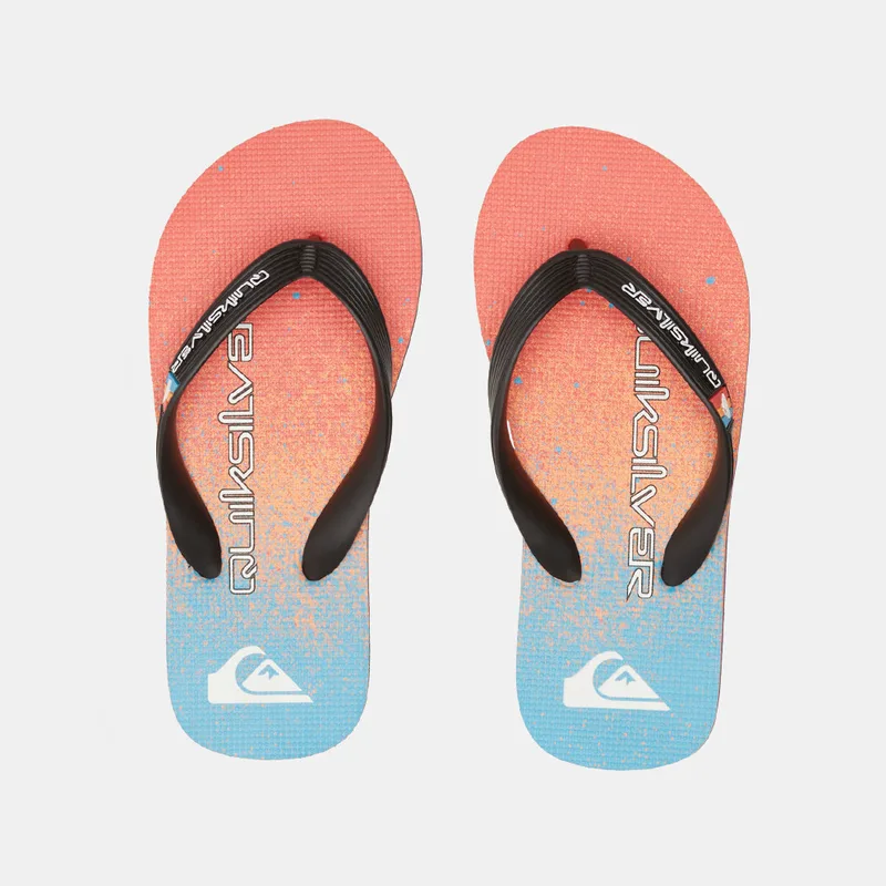 Quiksilver Molokai Art Ii Youth Παιδικές Σαγιονάρες (9000179742_76506)