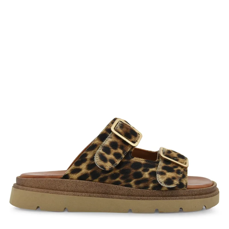 FLATS σχέδιο: W41009411