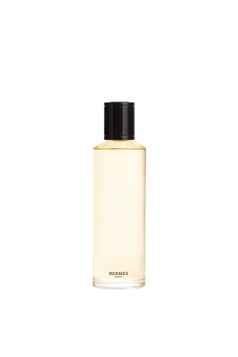 Hermès Terre d'Hermès Eau de Parfum Intense Ανταλλακτικό 200 ml - 115461V0