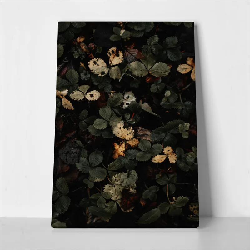 Πίνακας σε Καμβά RUSTIC FARMHOUSE LEAVES 2