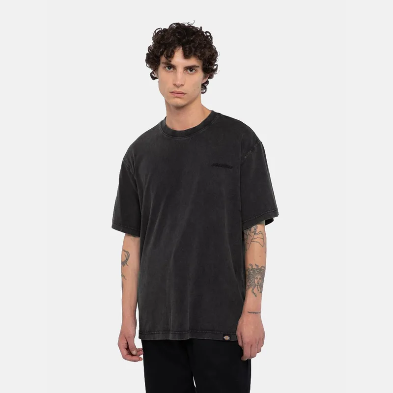 Dickies Plentywood Ανδρικό T-Shirt (9000218090_83963)