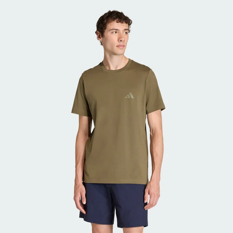 adidas Terrex Mountain Graphic Ανδρικό T-Shirt (9000264183_66178)