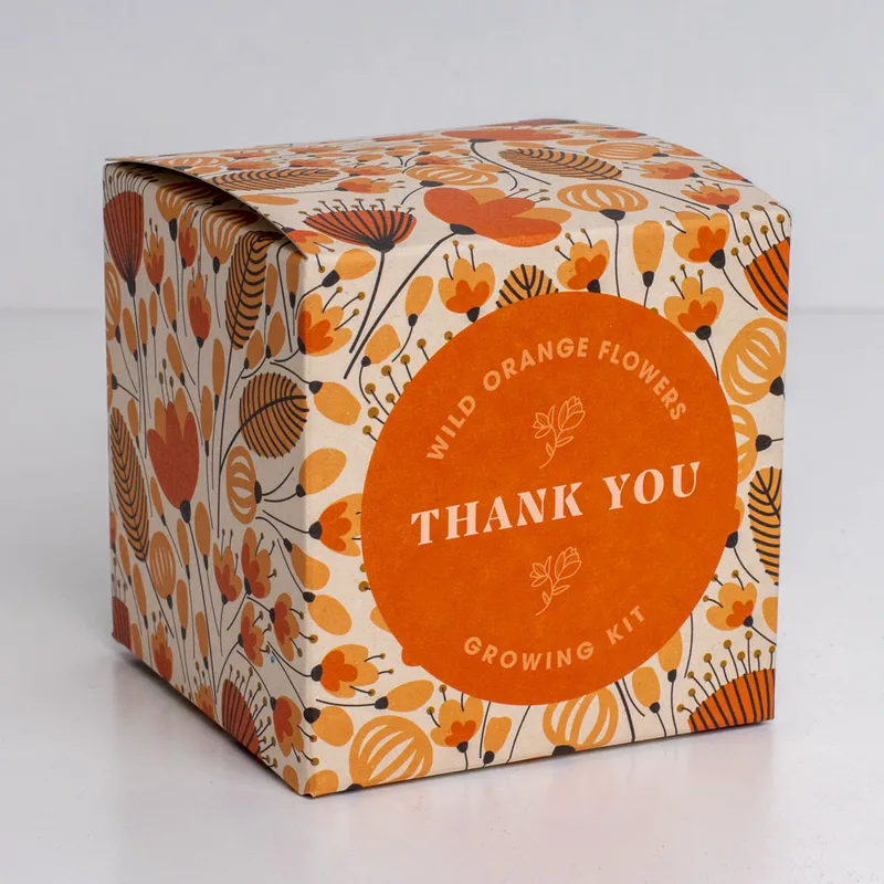 Say it with Flowers Growing Kit (Thank You)