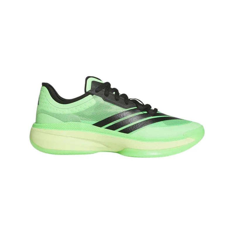 Παπούτσια του Μπάσκετ adidas Baskets Adizero Select 3.0 léger