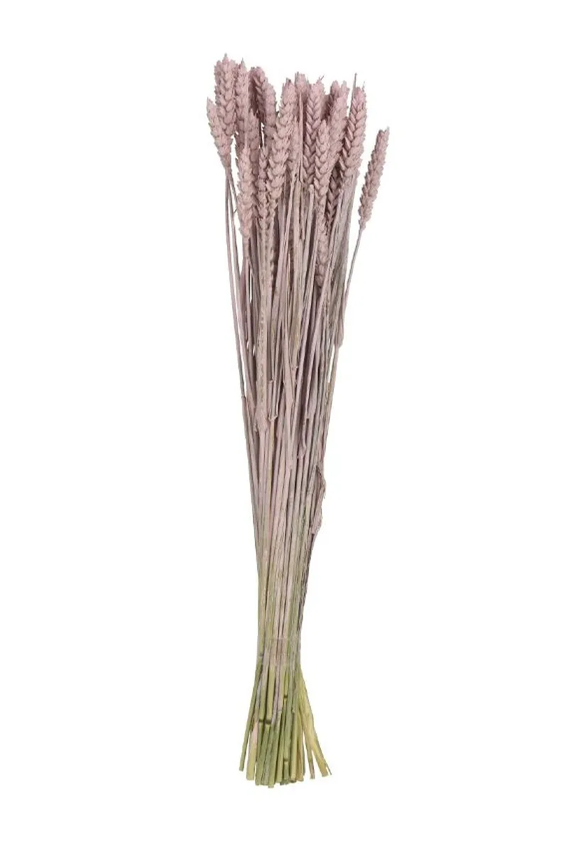 Μπουκετο Αποξηραμενο 55x25x55cm Ρόζ Kaeming