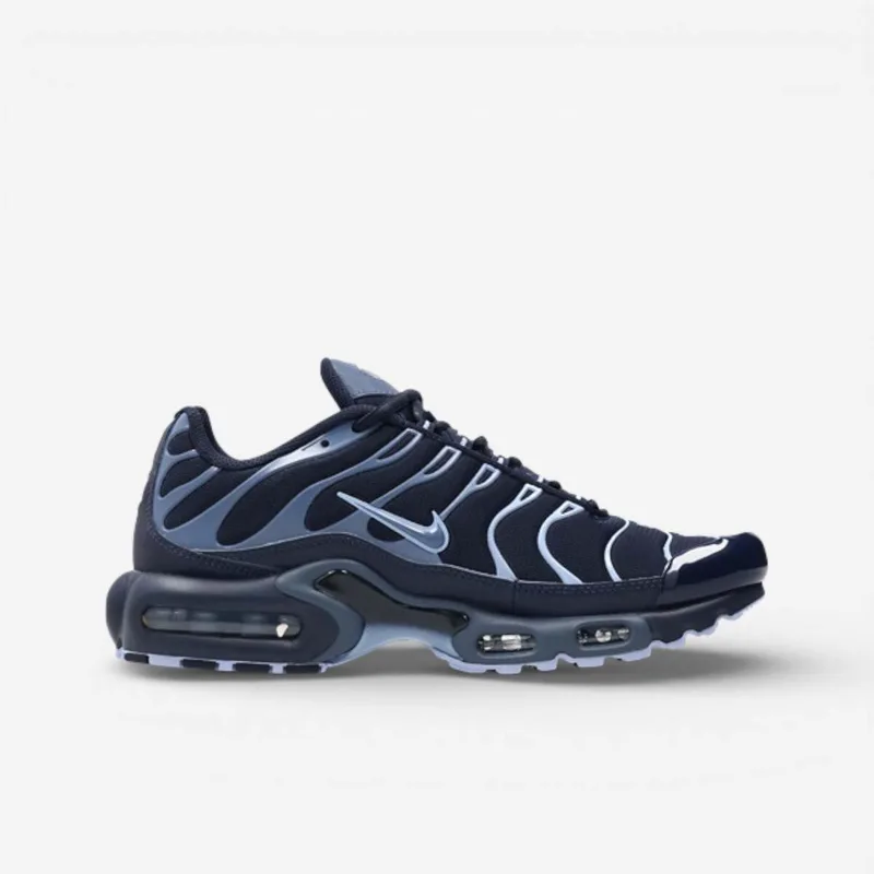 Sneakers Nike Air Max Plus Obsidian Aluminum