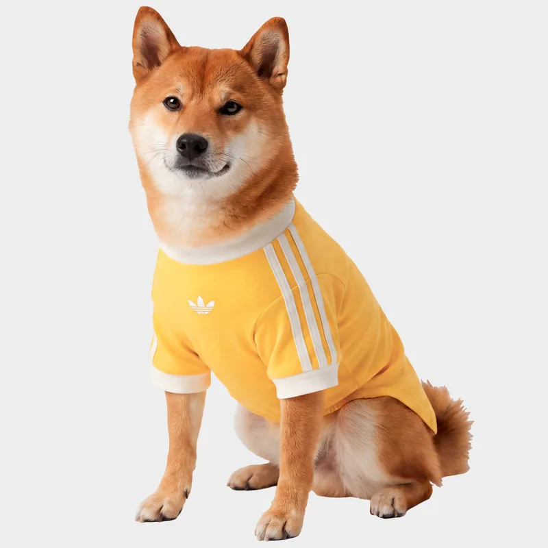 adidas Originals Pet Cali Tee (9000294592_97933)