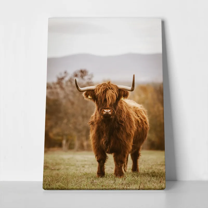 Πίνακας σε Καμβά RUSTIC FARMHOUSE COW 11