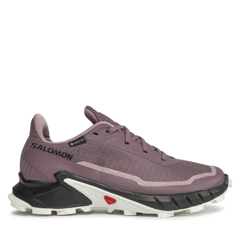 Παπούτσια για Τρέξιμο Salomon Alphacross 5 Gtx W GORE-TEX 473110 23 W0 Μωβ