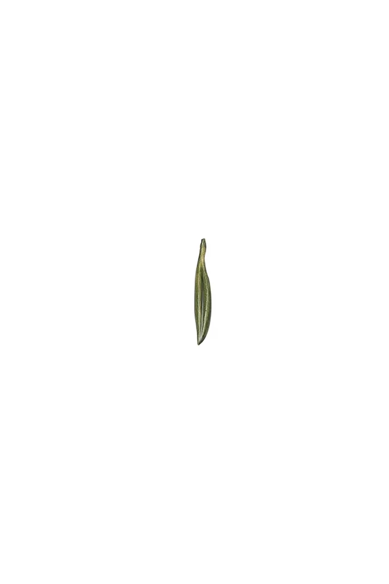 Folli Follie γυναικείο επίχρυσο μενταγιόν "Anima Olea" - 1P25S003YE Πράσινο