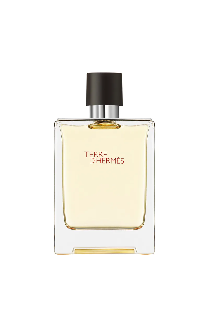 Hermès Terre d'Hermès Eau de Toilette - 107188V0