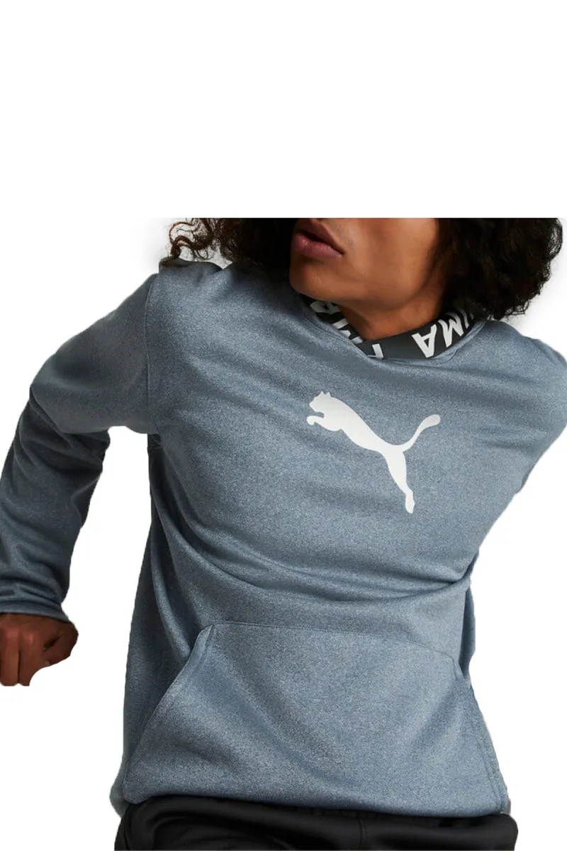 Μπλούζα Μακρυμάνικη Puma PWR Train Fleece 520893-18 Ανδρικό