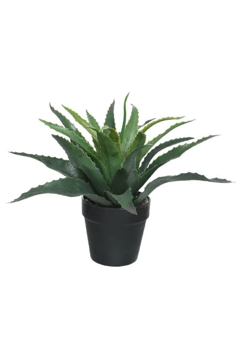 Aloe Vera Σε Γλαστρα 28Cm 28x28x25cm Μονόχρωμο Kaeming