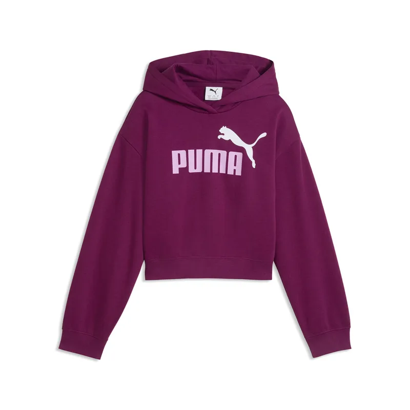 Puma Kids ESS 2 Color No.1 Logo Short Lenght Hoodie FL G (690717-41)