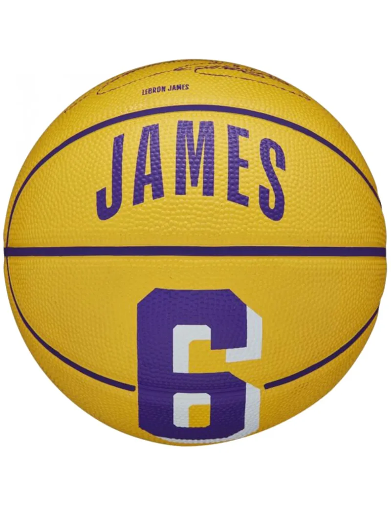 Wilson Player Icon Mini Μπάλα Μπάσκετ Indoor/Outdoor WZ4007401XB Stephen Curry