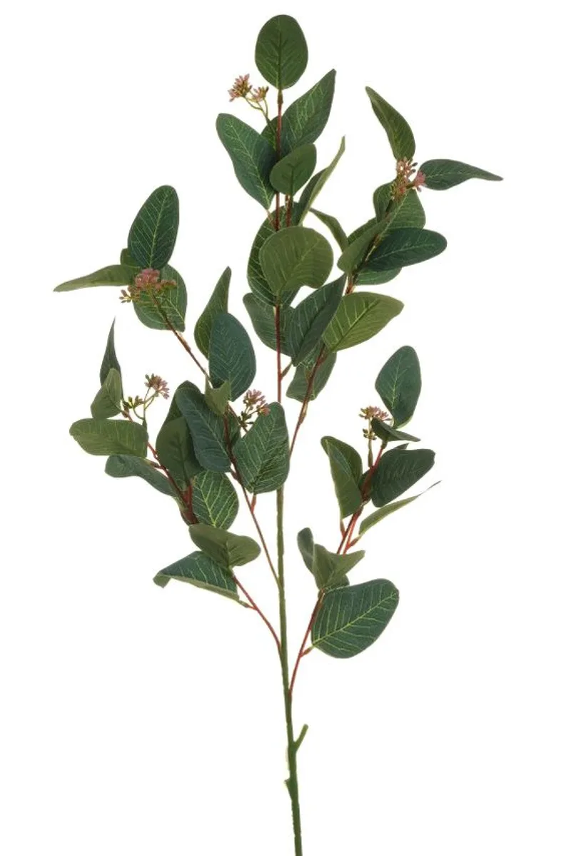 Κλαδι Ευκαλυπτου Με Μουρα 0x0x97cm Μονόχρωμο Evergreens