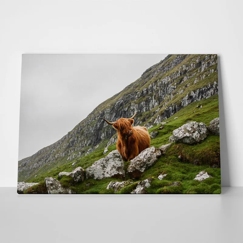 Πίνακας σε Καμβά RUSTIC FARMHOUSE COW 15