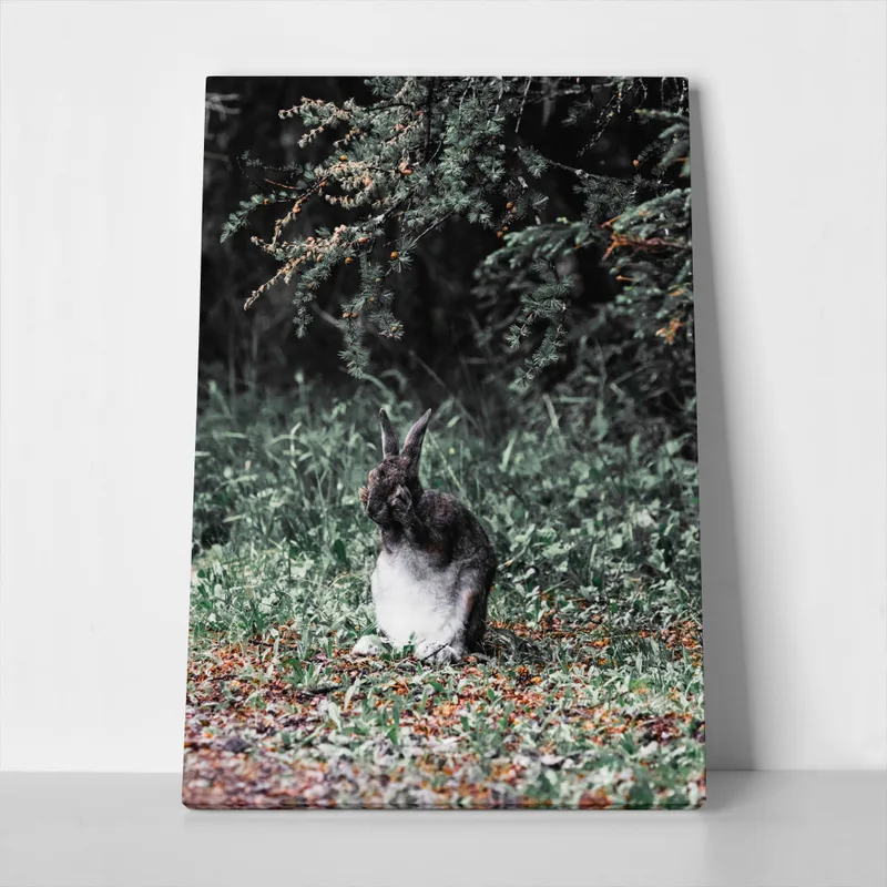 Πίνακας σε Καμβά RUSTIC FARMHOUSE RABBIT 2