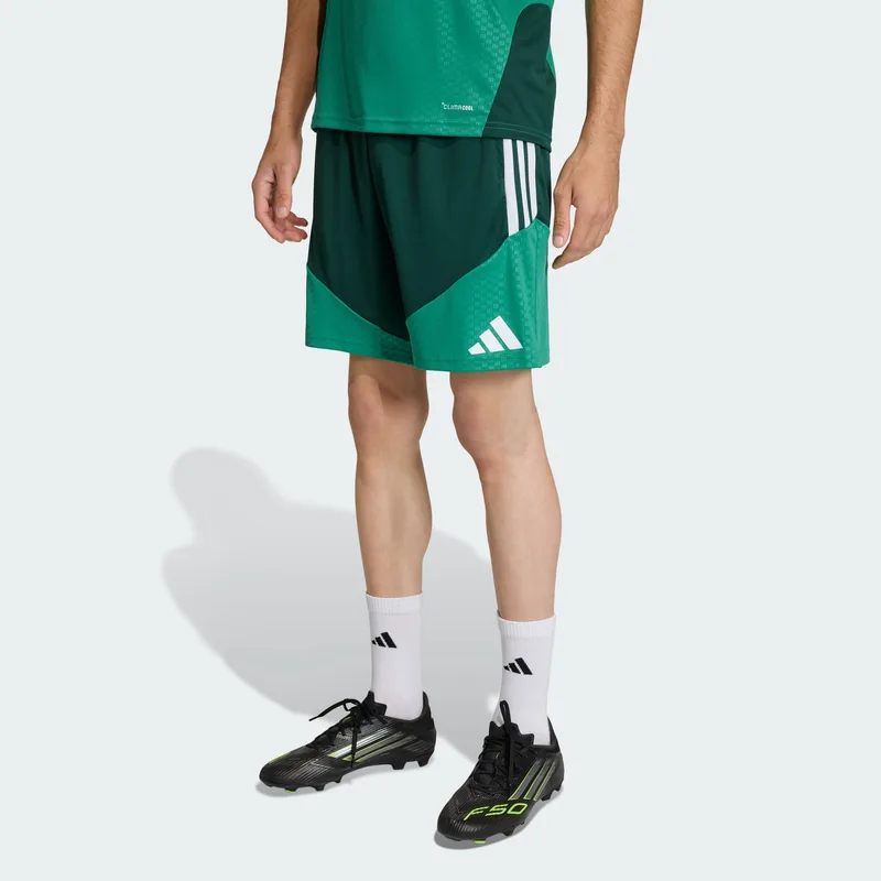 adidas Εθνική Αλγερίας 2026 Ανδρικό Σορτς Ποδοσφαίρου (9000264255_80245)