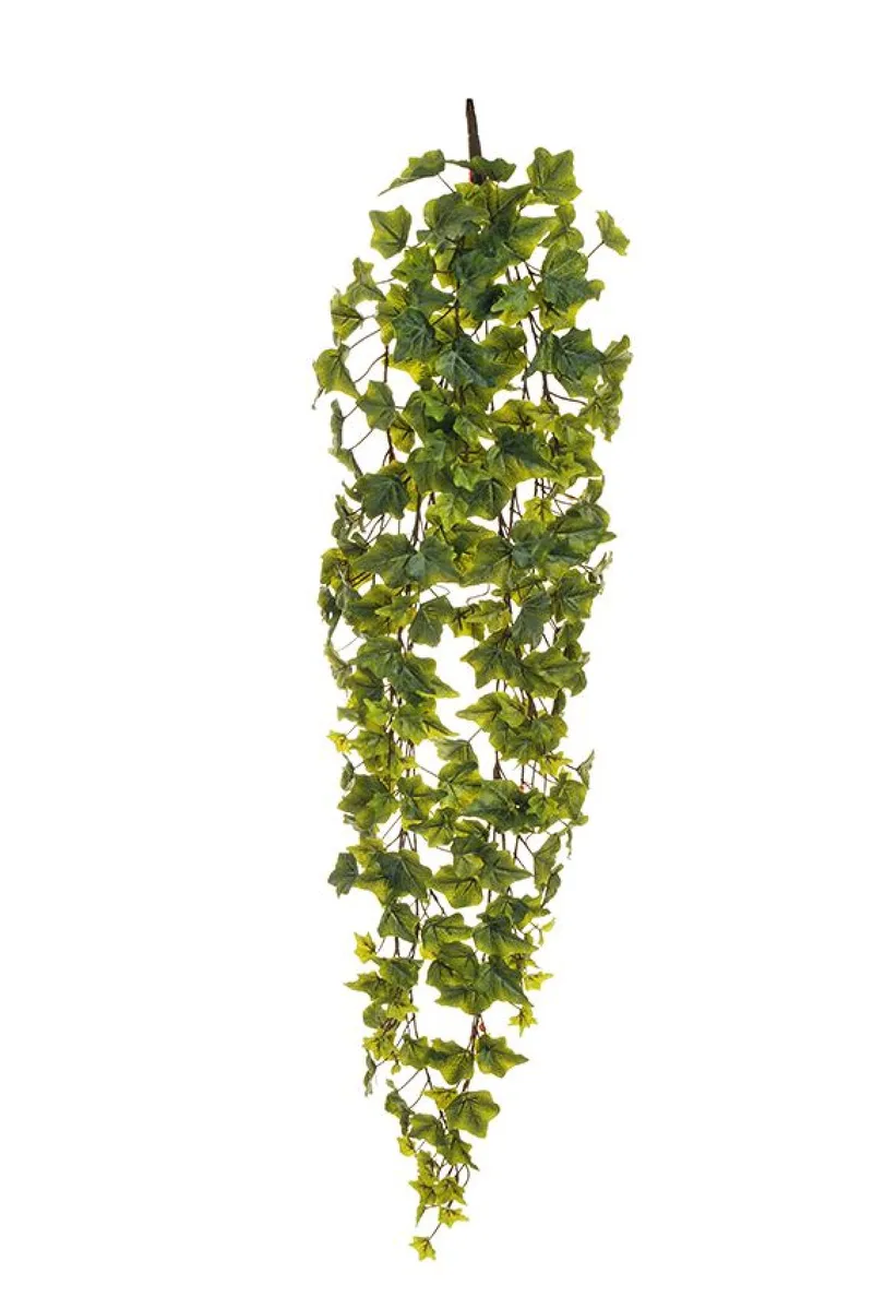 Κισσος Κρεμαστος 110Cm 0x0x110cm Μονόχρωμο Evergreens
