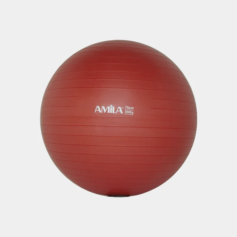 Amila Μπάλα Γυμναστικής 75 Cm (9000053738_1634)