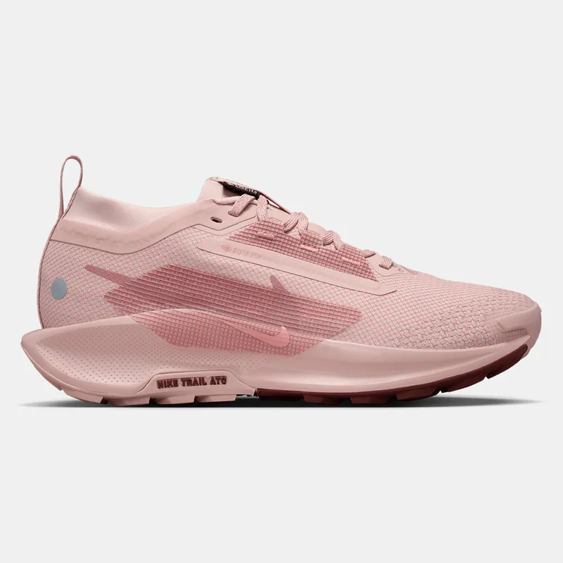 Nike Pegasus Trail 5 GORE-TEX Γυναικεία Παπούτσια για Trail (9000191206_78794)