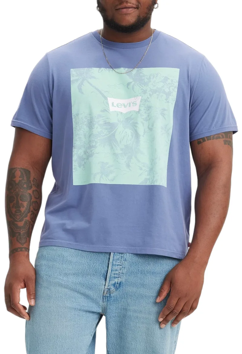 Μπλούζα Κοντομάνικη Levi's B&T Big Graphic 567600085-85 Ανδρικό