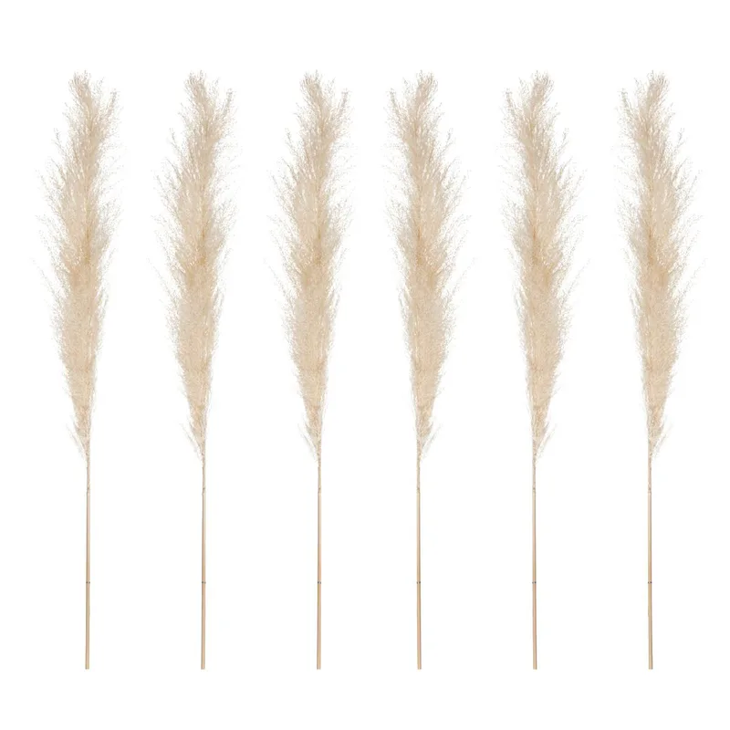 Αποξηραμένα Διακοσμητικά Κλαδιά 66εκ. Pampas (Σετ 6τμχ) A-S 179281
