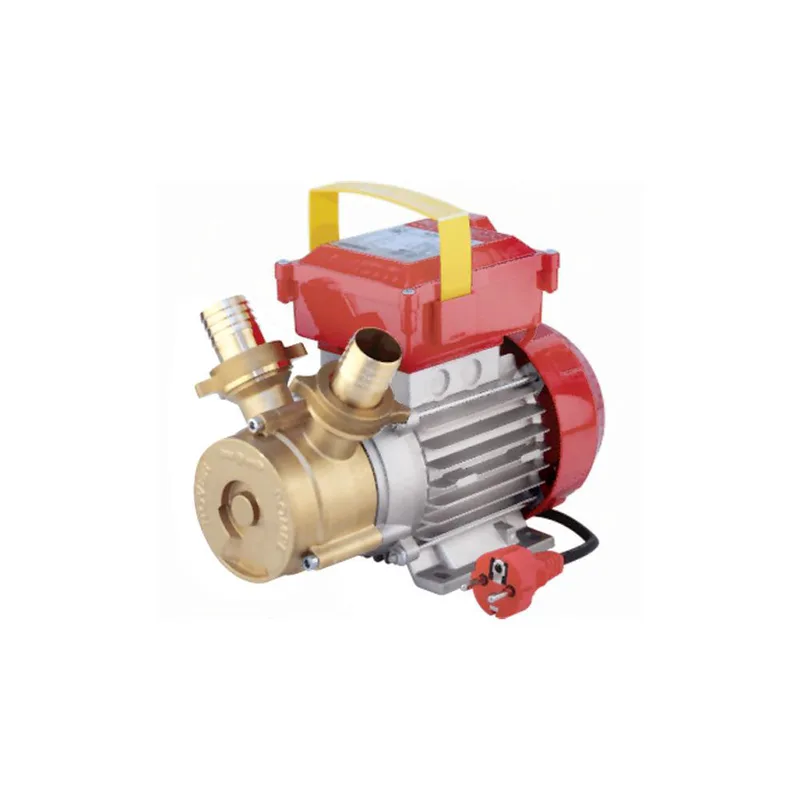 ηλεκτραντλια rover 30 ce 1hp 2850rpm