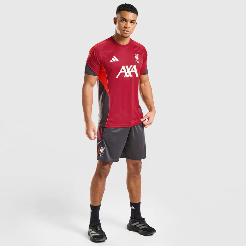 adidas Liverpool FC Tiro 25 Competition Training Ανδρικό Σορτς (9000265860_24617)