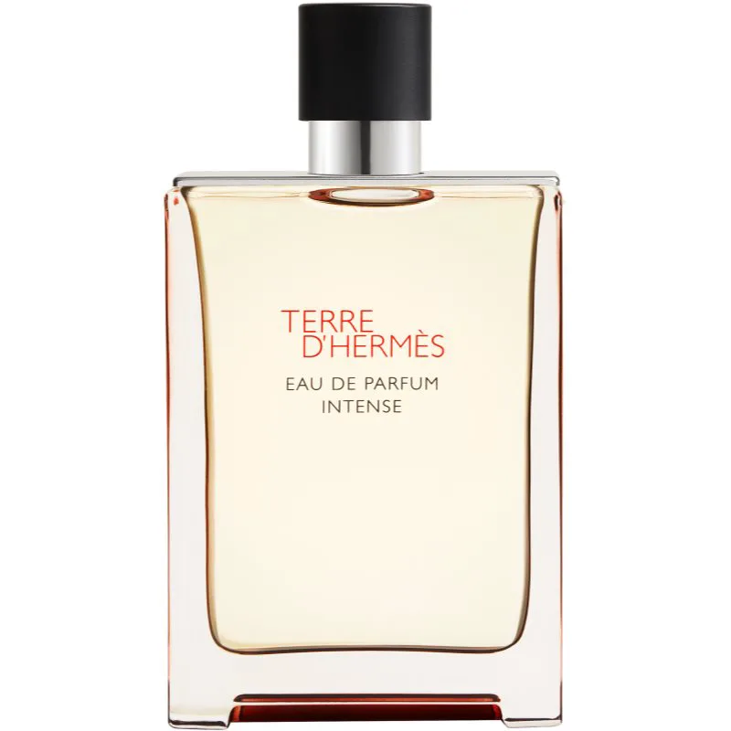 HERMÈS Terre d’Hermès Eau de Parfum Intense έντονο Eau de Parfum για άντρες 175 ml