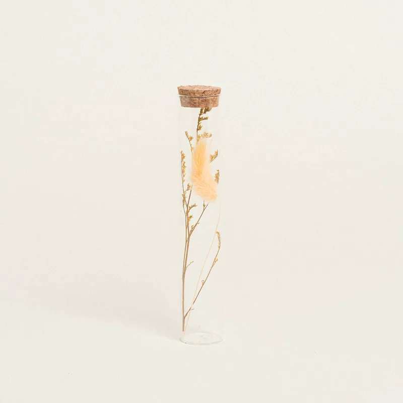 Beauty Home ΓΥΑΛΙΝΟΣ ΣΩΛΗΝΑΣ ΜΕ ΚΛΑΔΙΑ 3 x 18 cm