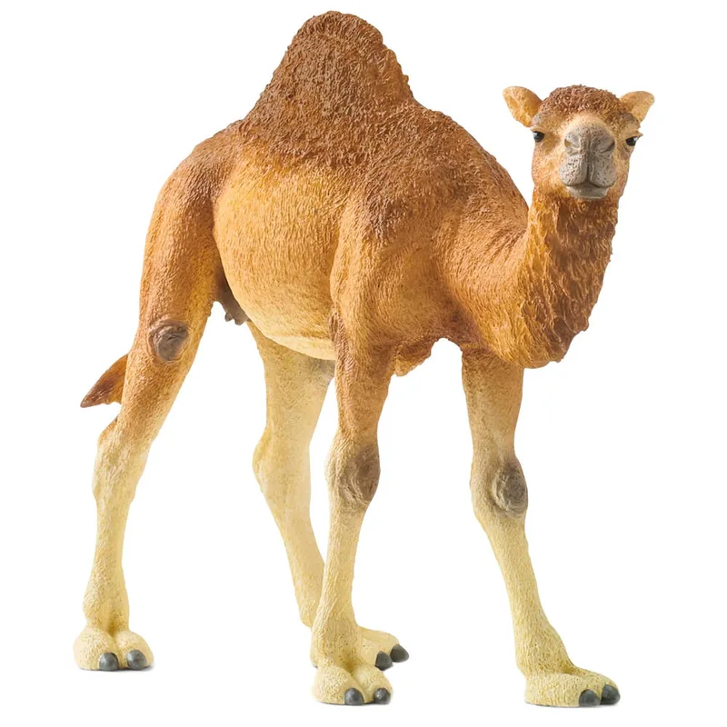 Μινιατούρα Schleich Καμήλα Αραβική 14832