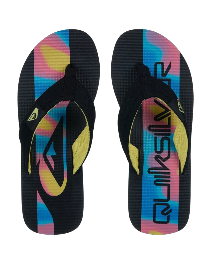 Quiksilver Ανδρικές Παντόφλες Molokai Layback EQYL100093-KVJ6 Multi
