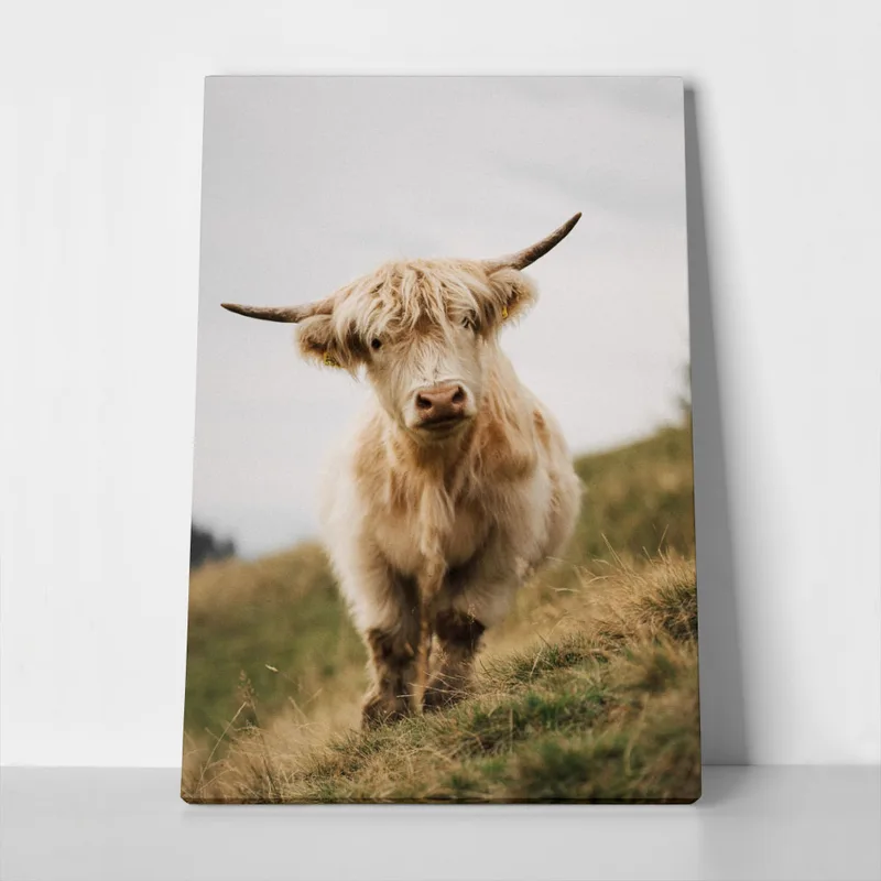 Πίνακας σε Καμβά RUSTIC FARMHOUSE COW 6
