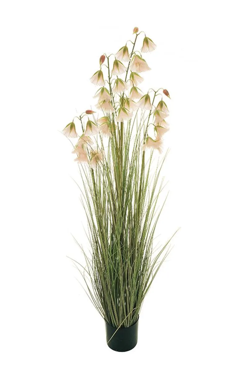 Γρασιδι Με Ροζ Ανθη Σε Γλαστρα 146Cm 0x0x146cm Μονόχρωμο Evergreens