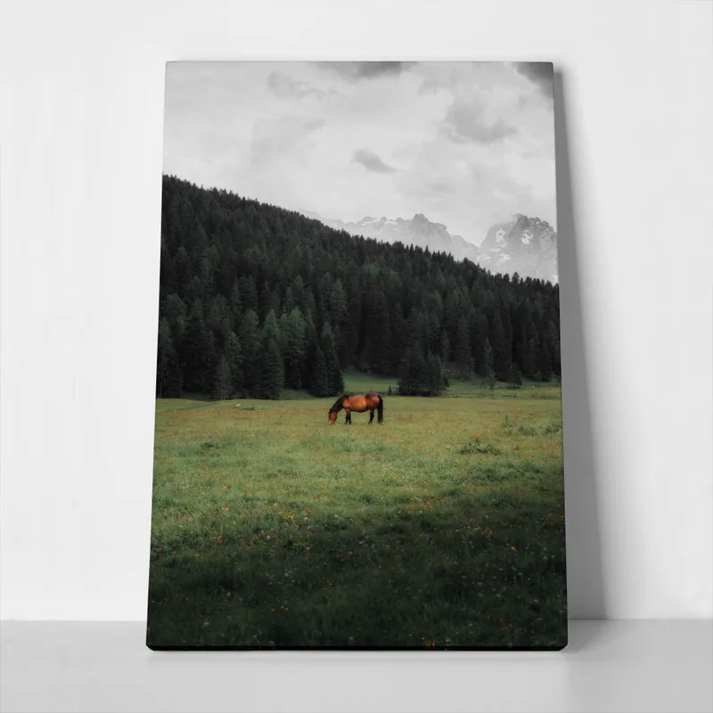 Πίνακας σε Καμβά RUSTIC FARMHOUSE HORSE 17