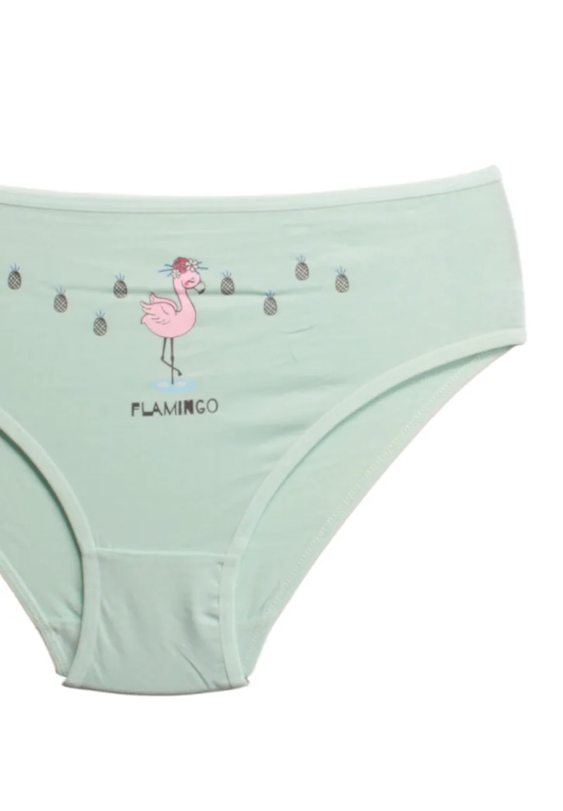 Σλιπάκια για κορίτσια βαμβακερά Berrak Flamingo σε οικονομικό πακέτο 4 τεμαχίων BRK6890-Πολύχρωμο