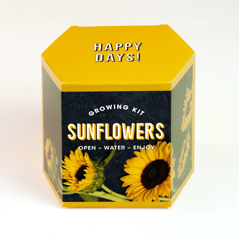 Sunflower Growing Kit – Κιτ Καλλιέργειας Ηλίανθου
