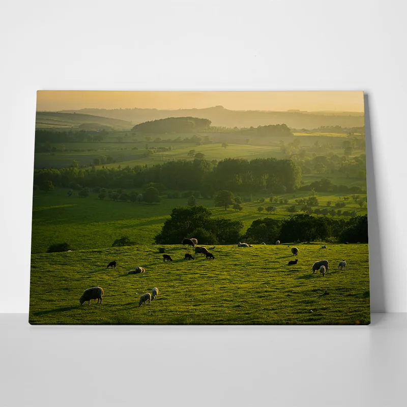 Πίνακας σε Καμβά RUSTIC FARMHOUSE FIELD 5