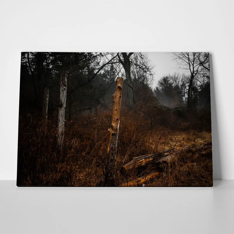 Πίνακας σε Καμβά RUSTIC FARMHOUSE DRIED FOREST