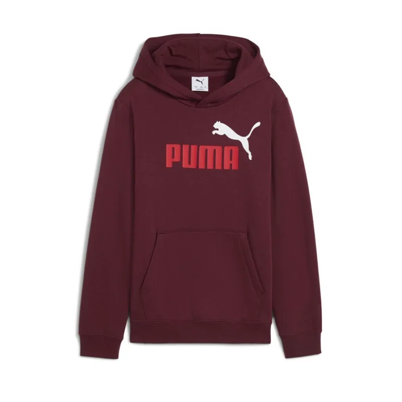 Puma Kids Ess 2 Color No1 Logo Hoodie (685822-96)