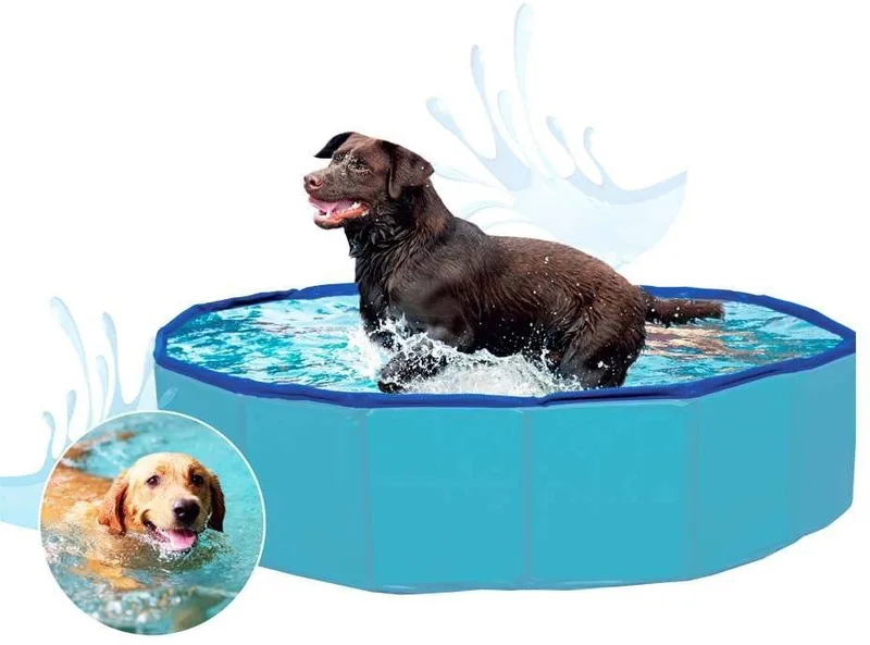 ΠΙΣΙΝΑ ΓΙΑ ΚΑΤΟΙΚΙΔΙΑ GLEE PET POOL L (160X30 CM)