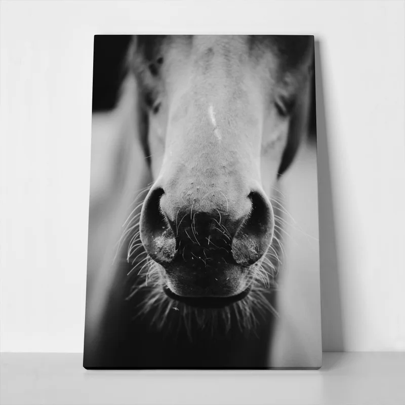 Πίνακας σε Καμβά RUSTIC FARMHOUSE HORSE MOUTH